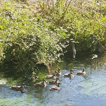 Les Gites De Ninon Moult Dış mekan fotoğraf